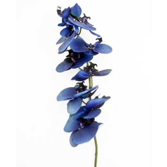 Silk Phalaenopsis Orchid Dark Blue 92cm Artificial Flowers